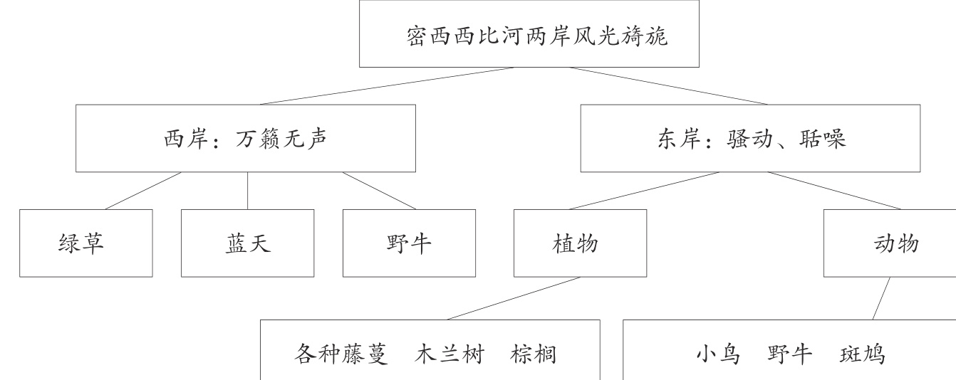 各种藤蔓木兰树棕榈小鸟野牛斑鸠