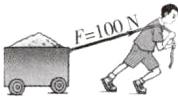 F100N
