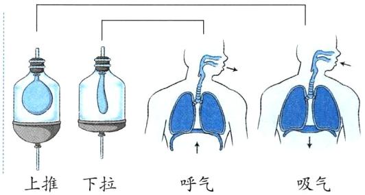 上推下拉吸气呼气