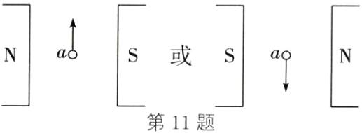 第11题