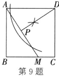 第9题