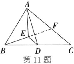 第11题