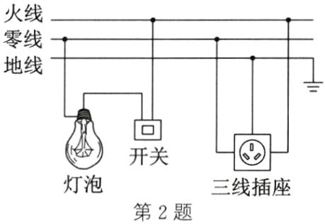 灯泡三线插座第2题