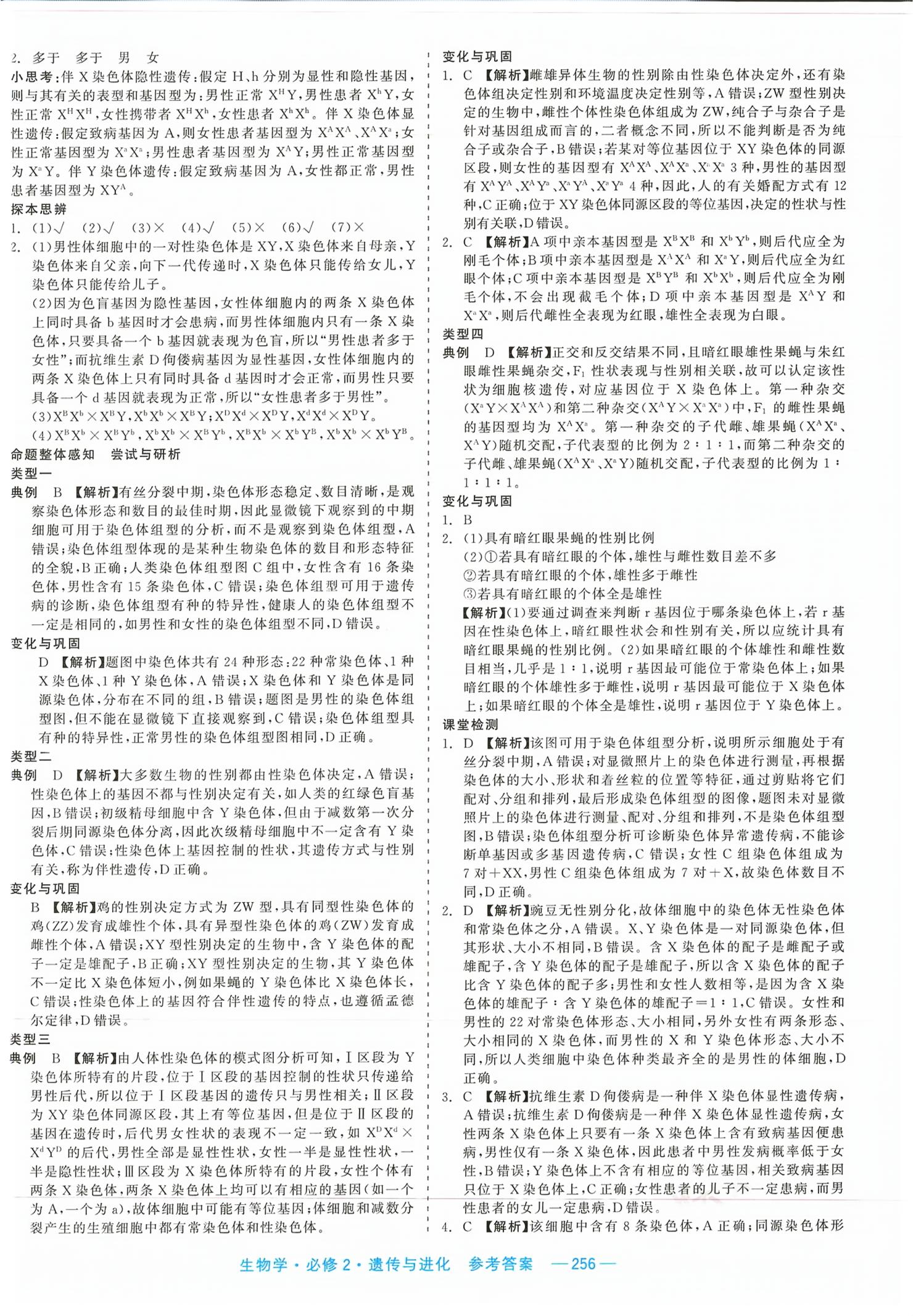 2026年精彩三年课程探究与巩固高中生物必修第二册&nbsp;第10页