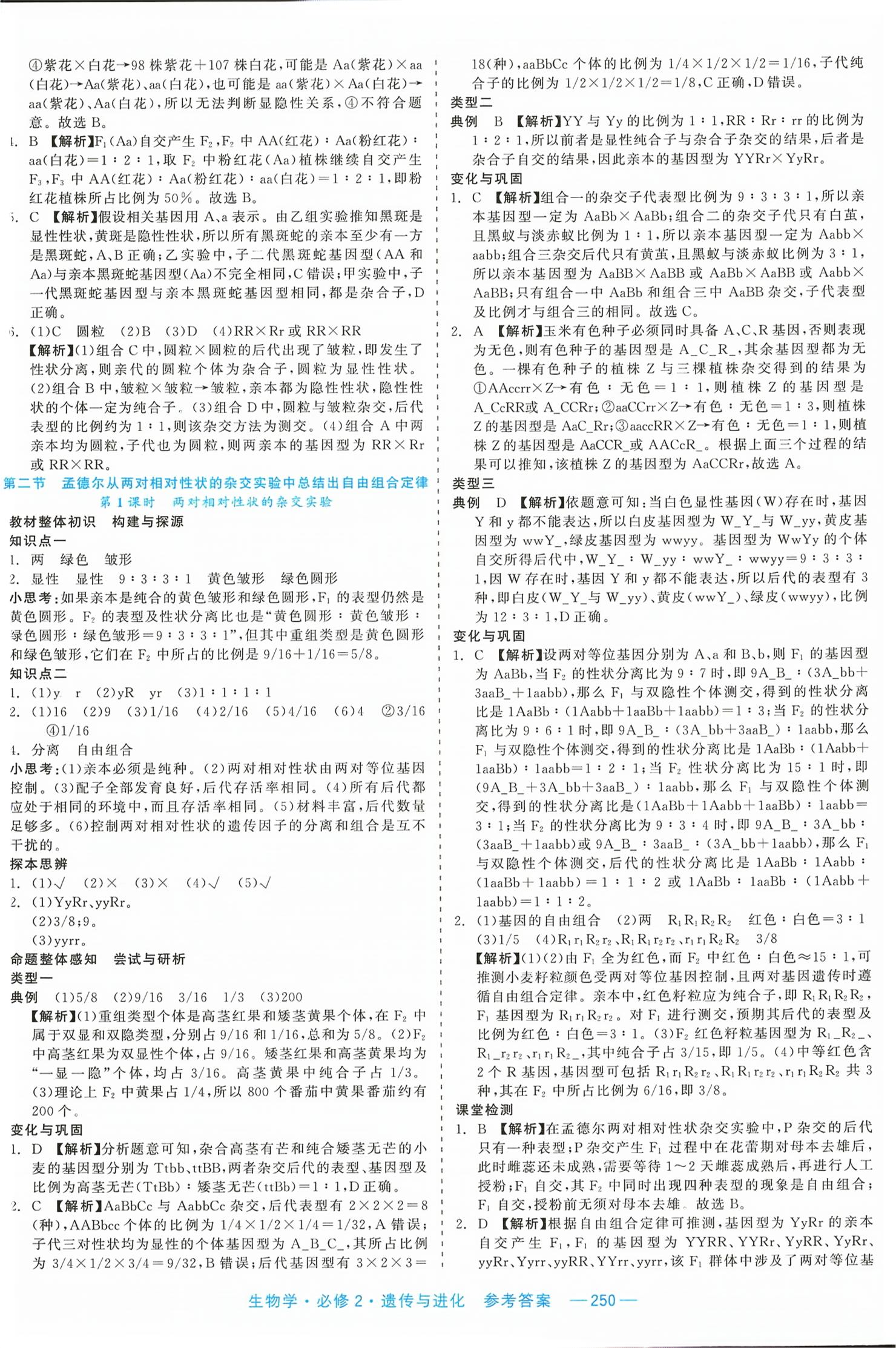 2026年精彩三年课程探究与巩固高中生物必修第二册&nbsp;第4页