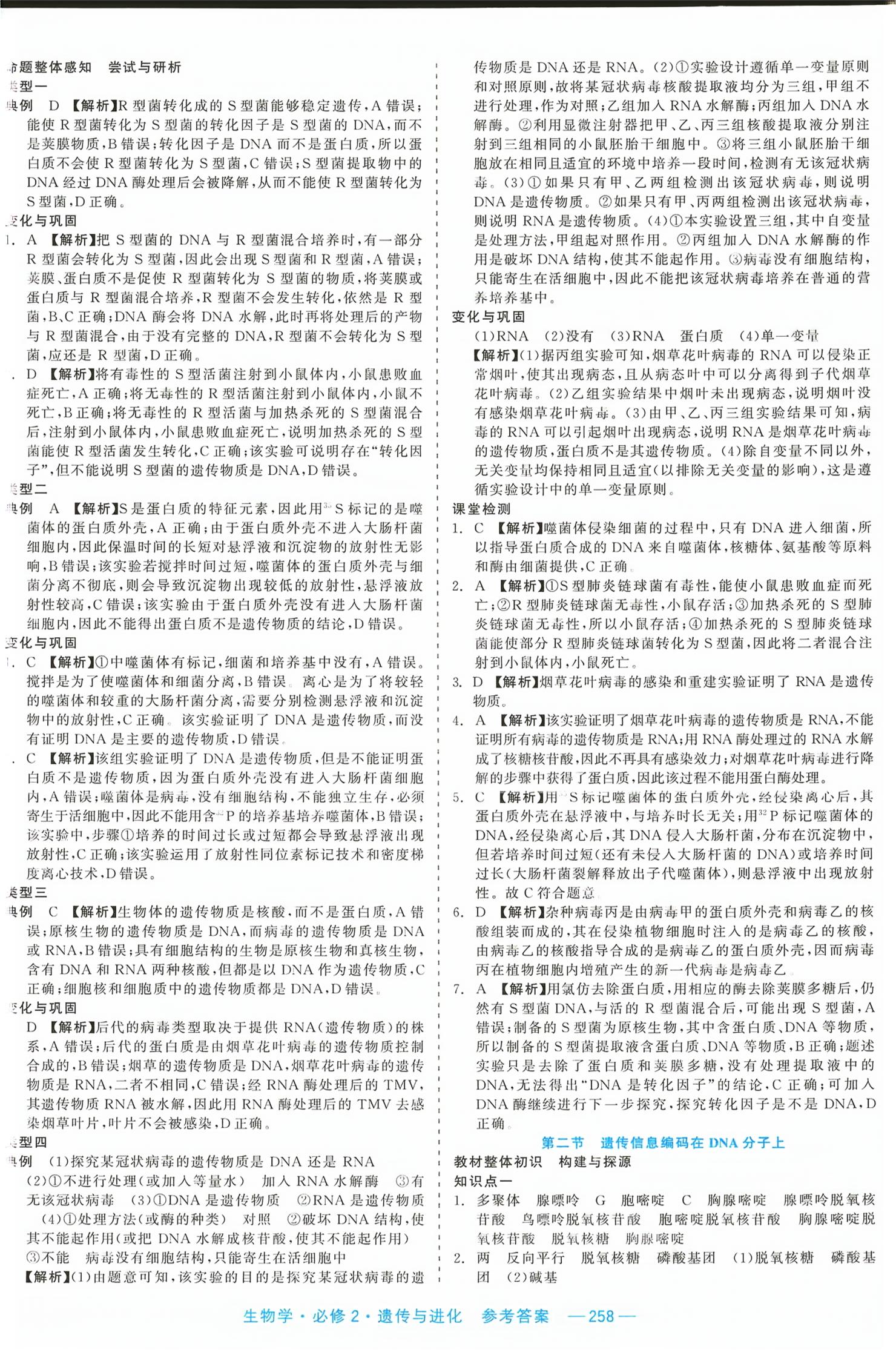 2026年精彩三年课程探究与巩固高中生物必修第二册&nbsp;第12页