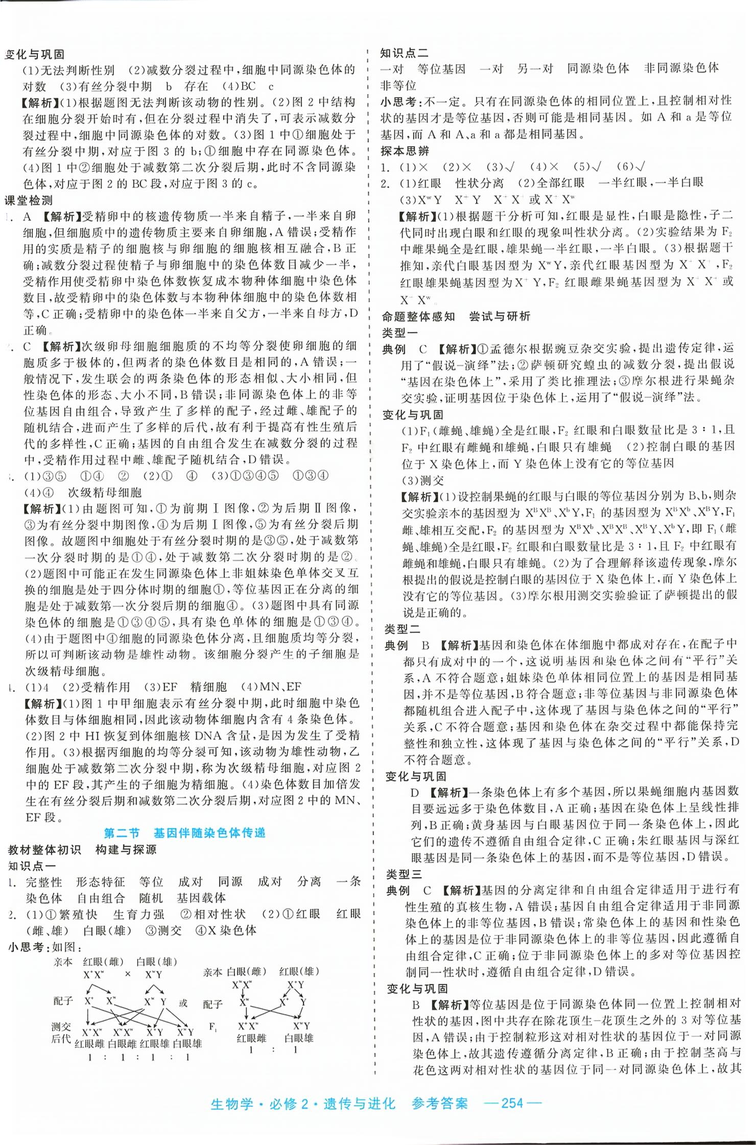 2026年精彩三年课程探究与巩固高中生物必修第二册&nbsp;第8页
