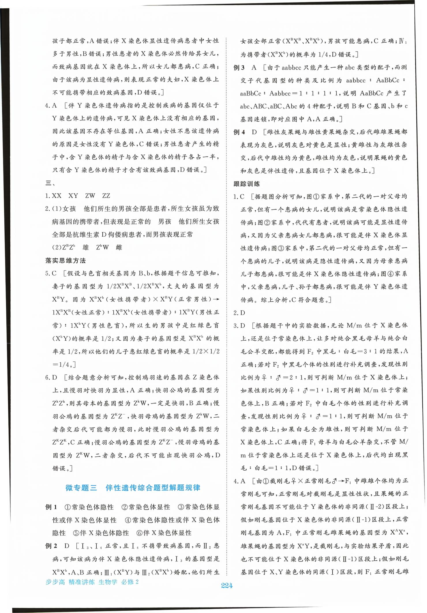 2026年步步高精准讲练高中生物必修第二册&nbsp;第11页