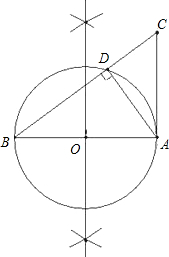 ��Ӣ�ҽ���