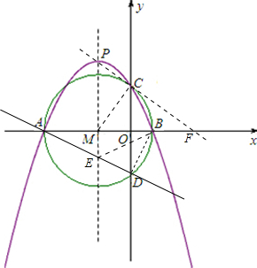 ��Ӣ�ҽ���