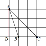 ��Ӣ�ҽ���