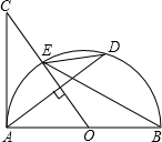 ��Ӣ�ҽ���