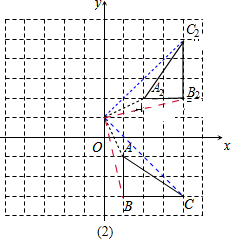 ��Ӣ�ҽ���