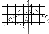 ��Ӣ�ҽ���