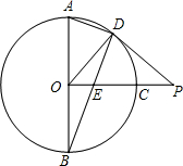 ��Ӣ�ҽ���