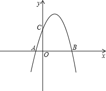 ��Ӣ�ҽ���