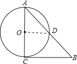 ��Ӣ�ҽ���