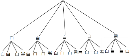 ��Ӣ�ҽ���