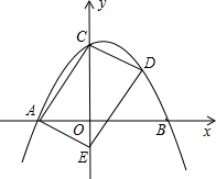 ��Ӣ�ҽ���