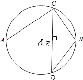 ��Ӣ�ҽ���