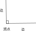 ��Ӣ�ҽ���