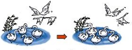 ��Ӣ�ҽ���