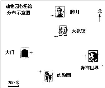 ��Ӣ�ҽ���