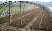 ��Ӣ�ҽ���