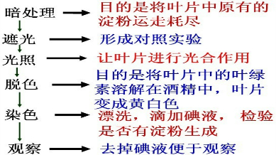 ��Ӣ�ҽ���