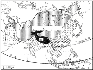 ��Ӣ�ҽ���