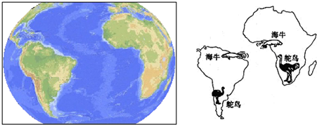 ��Ӣ�ҽ���