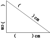 ��Ӣ�ҽ���