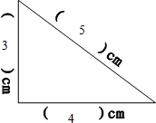 ��Ӣ�ҽ���