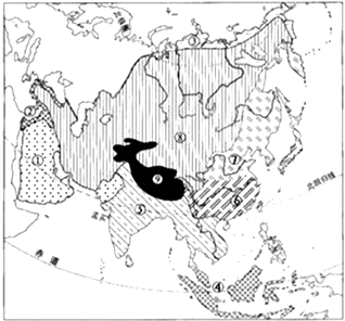 ��Ӣ�ҽ���