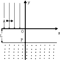 ��Ӣ�ҽ���