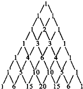 ��Ӣ�ҽ���