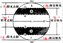 ��Ӣ�ҽ���