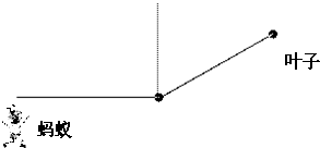 ��Ӣ�ҽ���