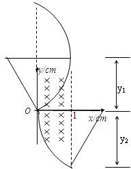 ��Ӣ�ҽ���