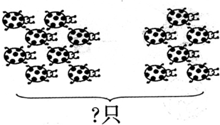 ��Ӣ�ҽ���