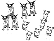 ��Ӣ�ҽ���