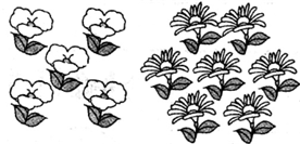 ��Ӣ�ҽ���