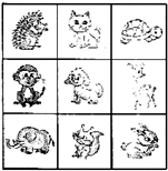 ��Ӣ�ҽ���