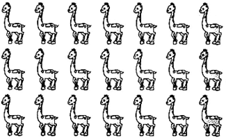 ��Ӣ�ҽ���