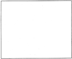 ��Ӣ�ҽ���