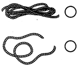 ��Ӣ�ҽ���