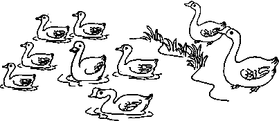 ��Ӣ�ҽ���