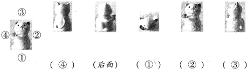 ��Ӣ�ҽ���