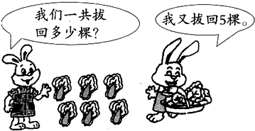 ��Ӣ�ҽ���