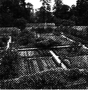 ��Ӣ�ҽ���